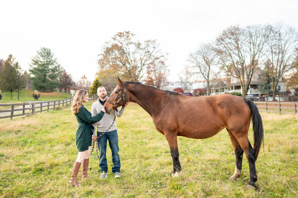 Donaldsons Farm Engagement 