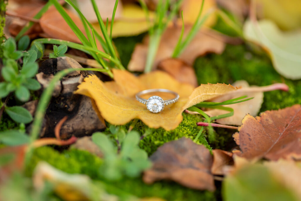 Donaldsons Farm Engagement 