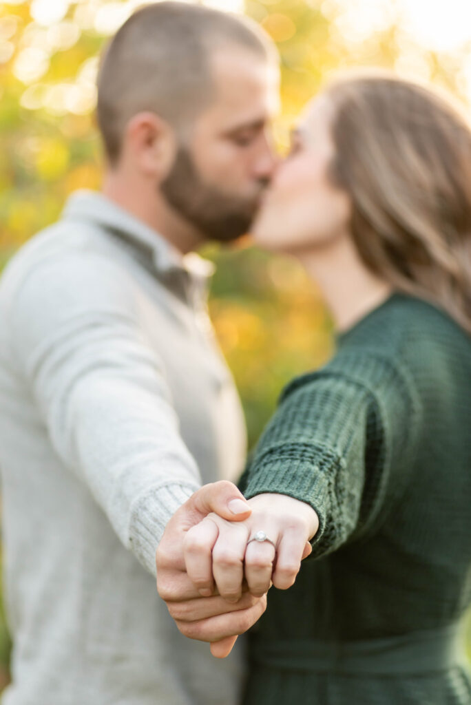 Donaldsons Farm Engagement 