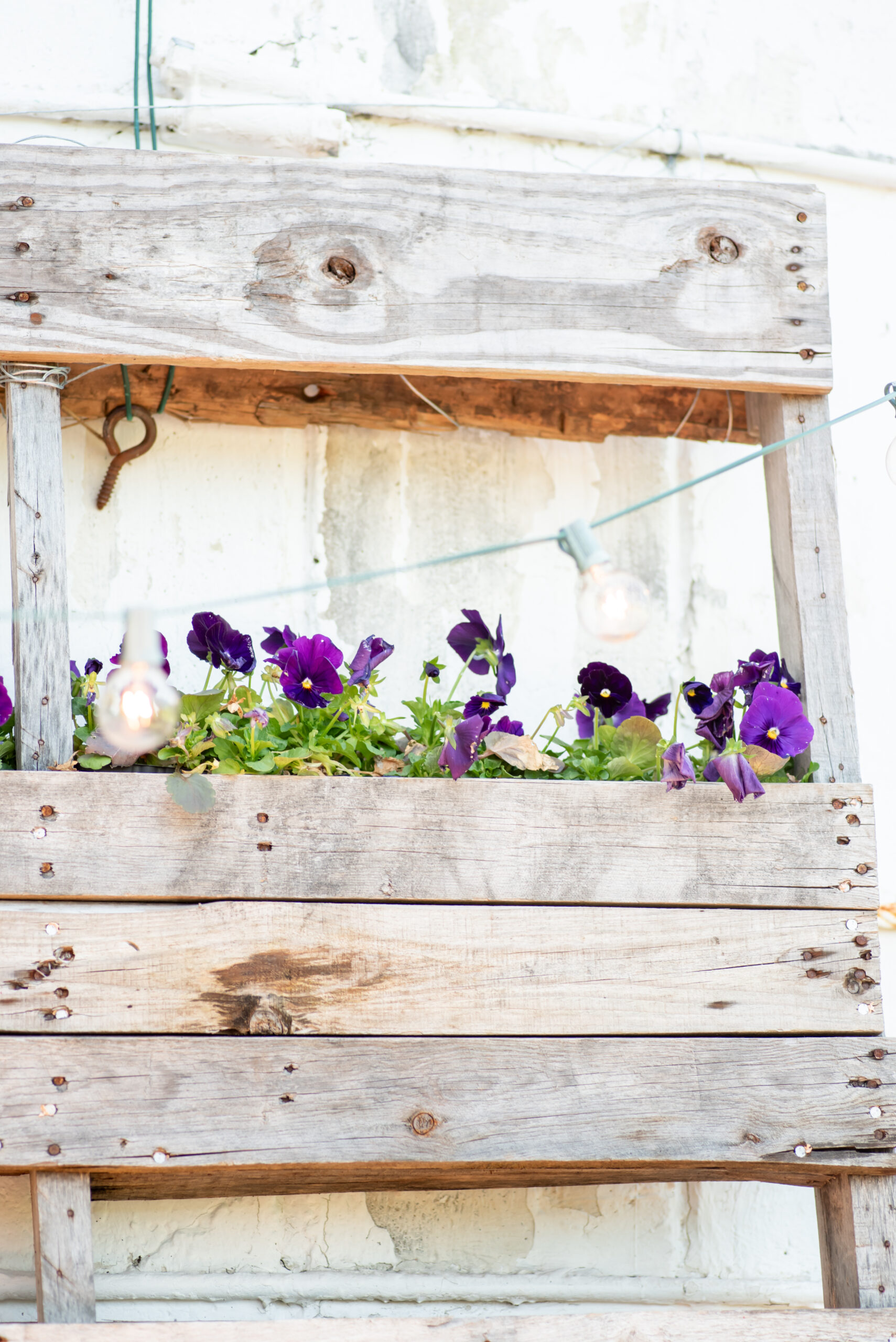 Sterlingbrook Farms Wedding