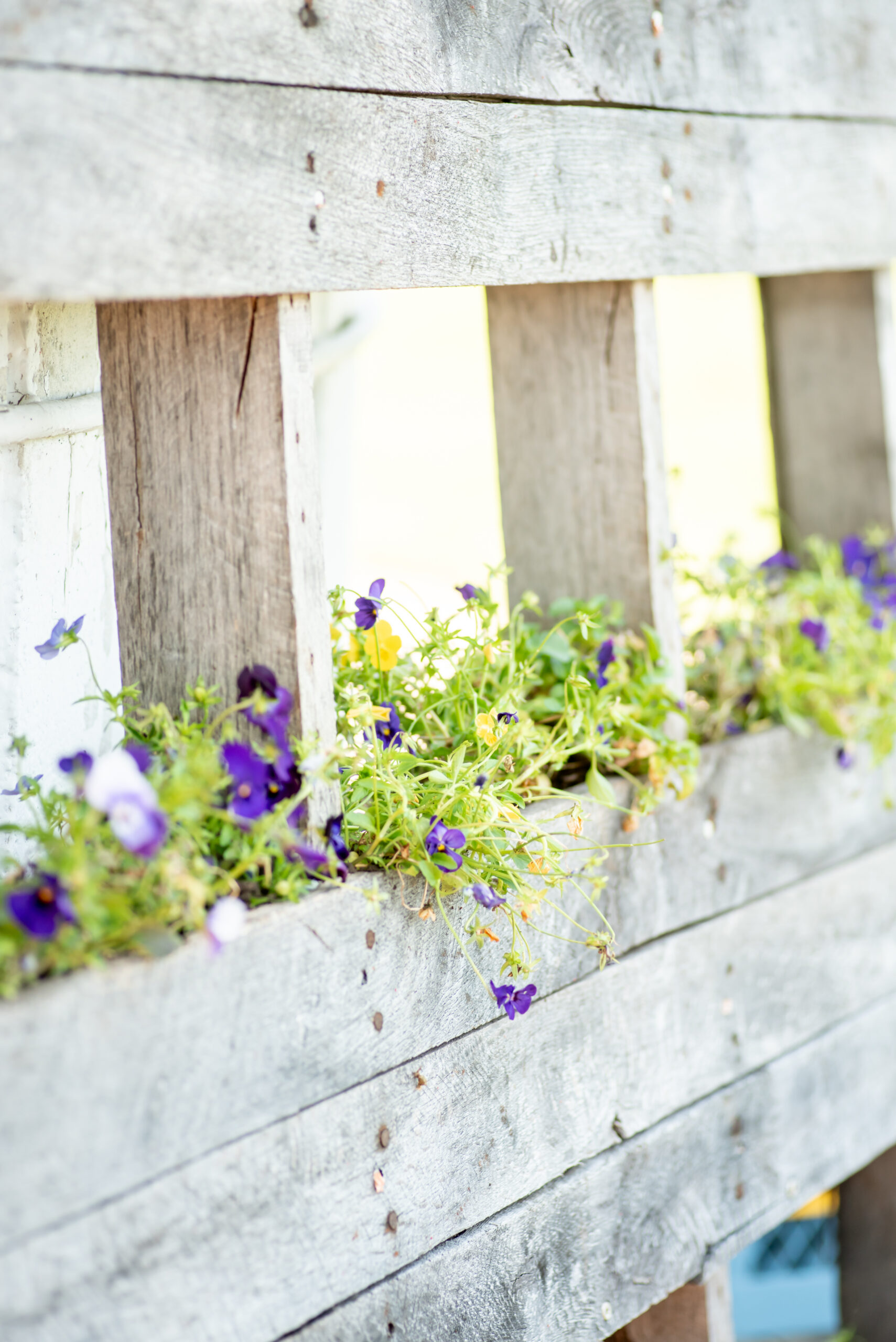 Sterlingbrook Farms Wedding