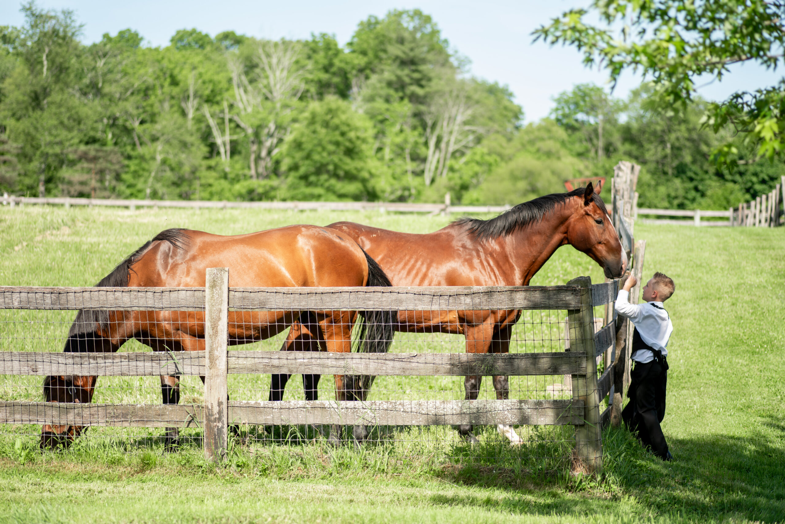 Sterlingbrook Farms Wedding