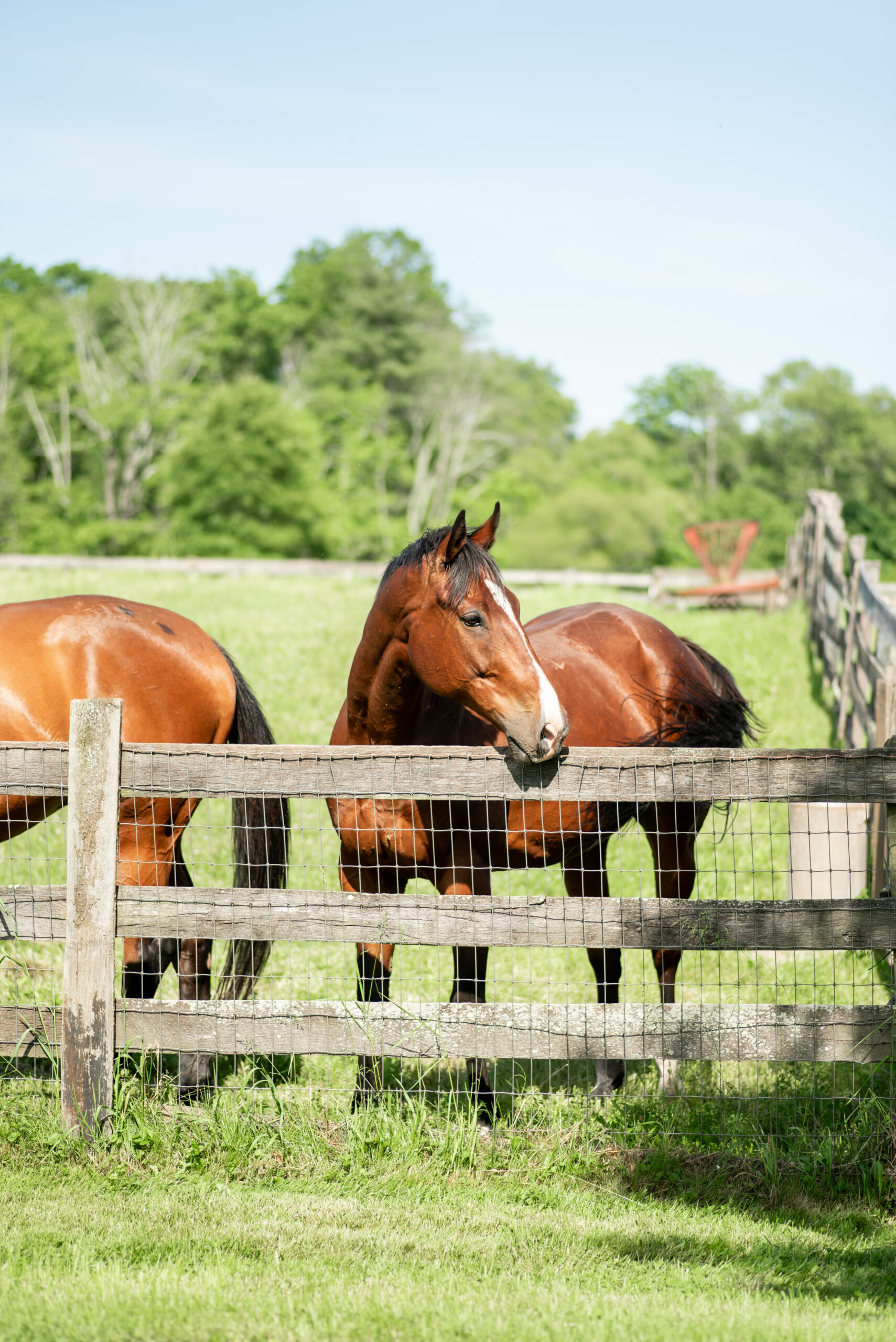 Sterlingbrook Farms Wedding