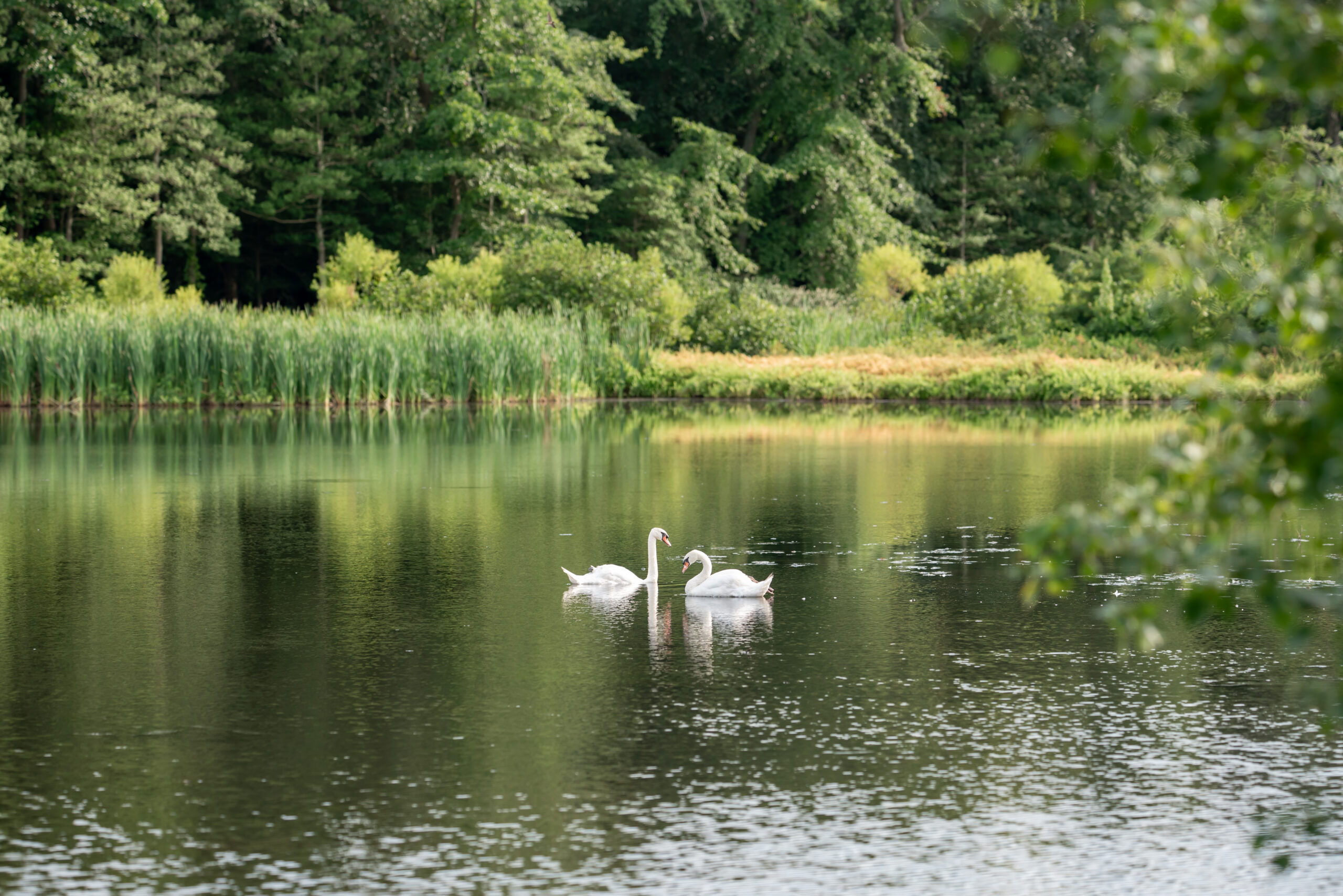 Mill Lakeside Manor Wedding