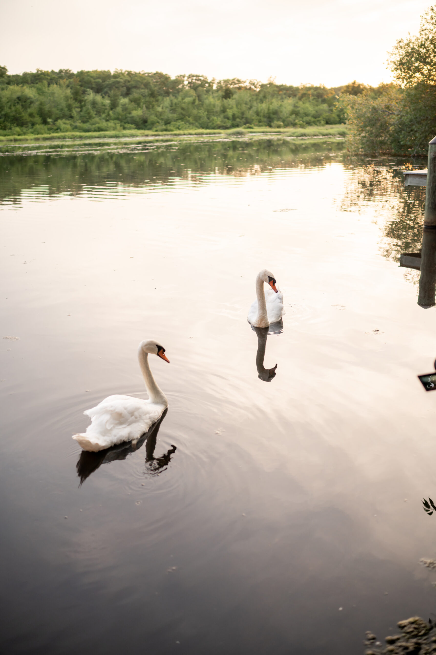 Mill Lakeside Manor Wedding