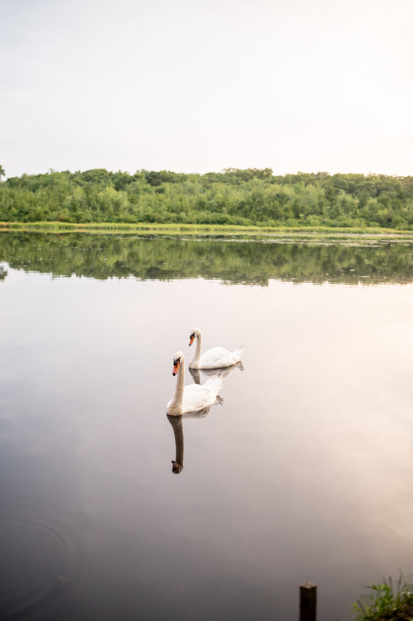 Mill Lakeside Manor Wedding