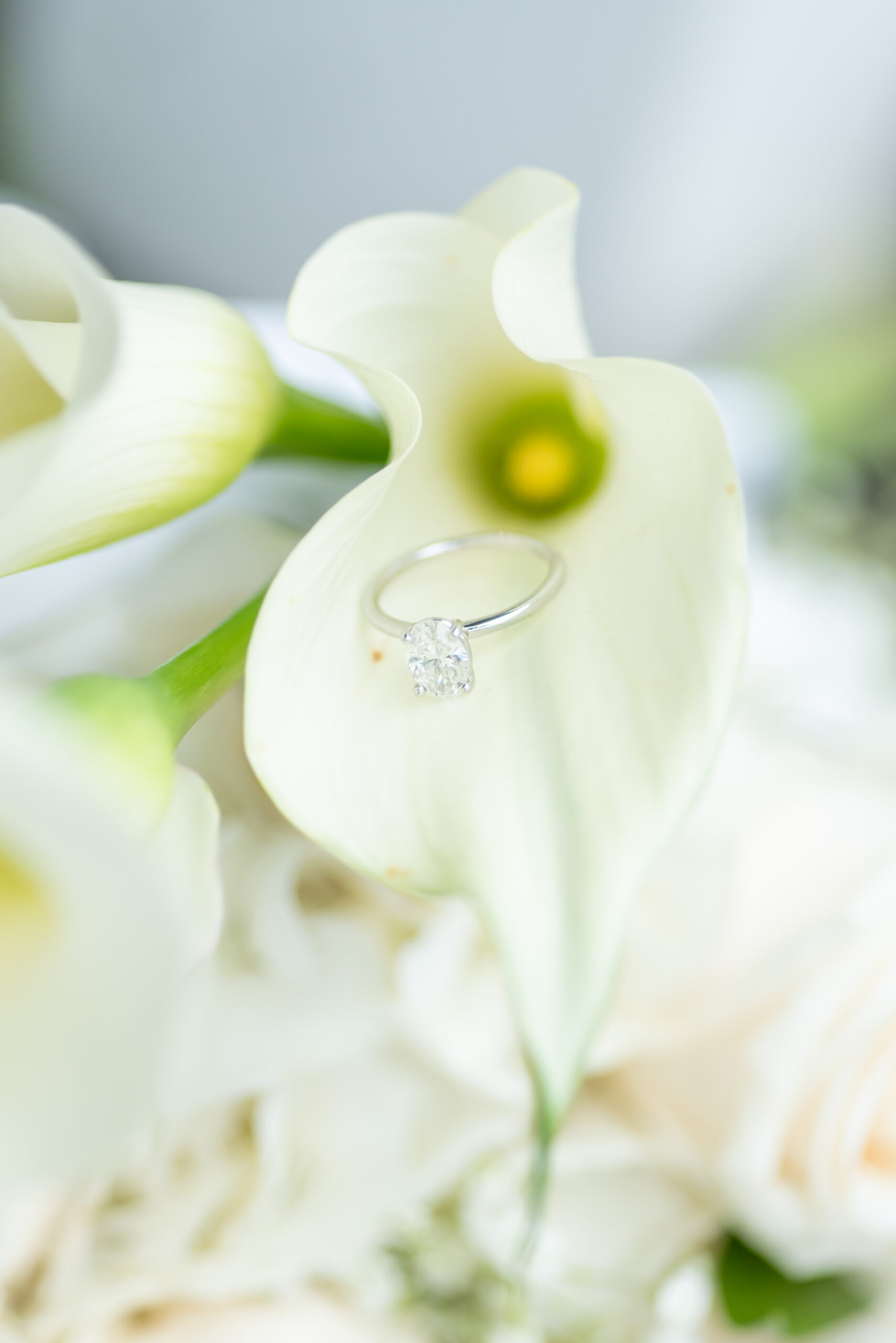 Seasons Catering Spring Wedding
