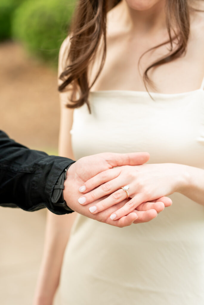 The Morristown Green Engagement