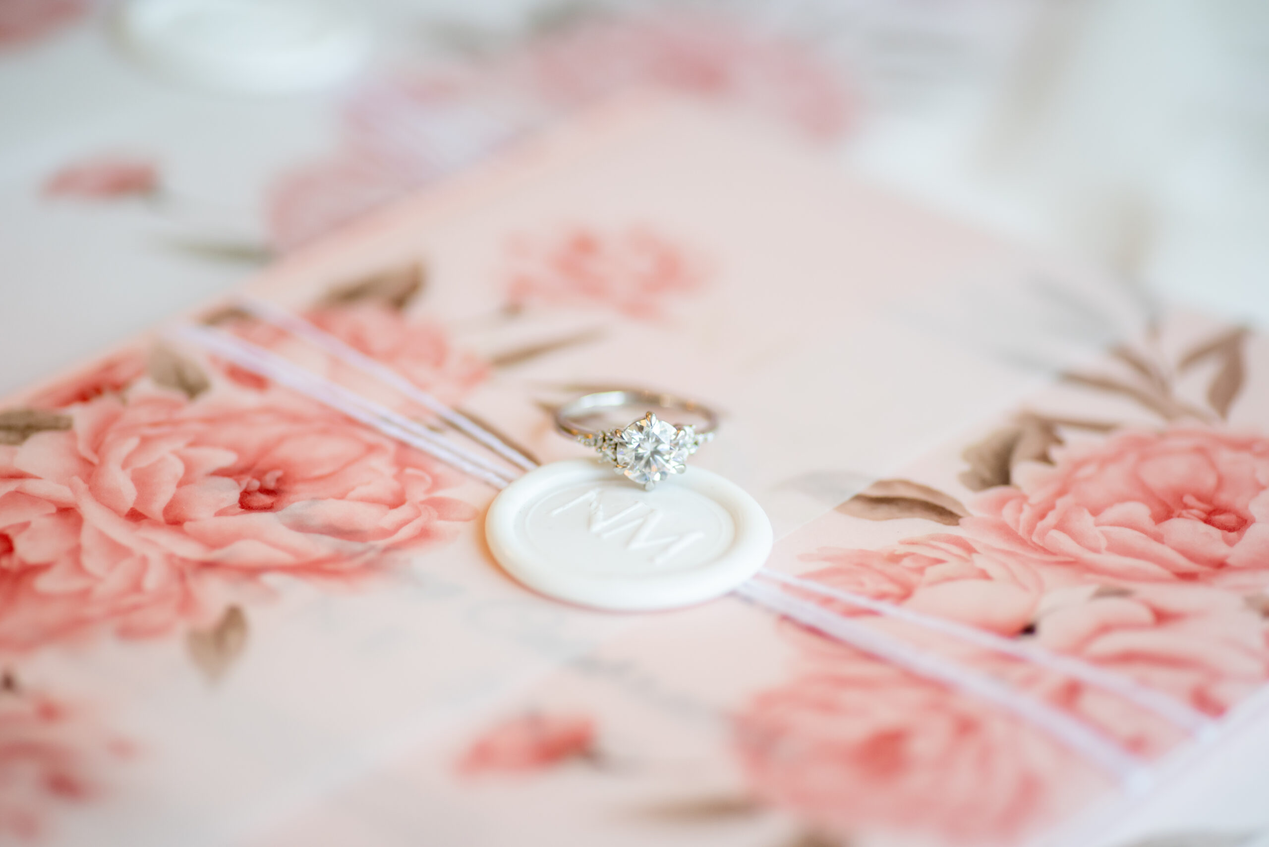 Park Chateau Wedding