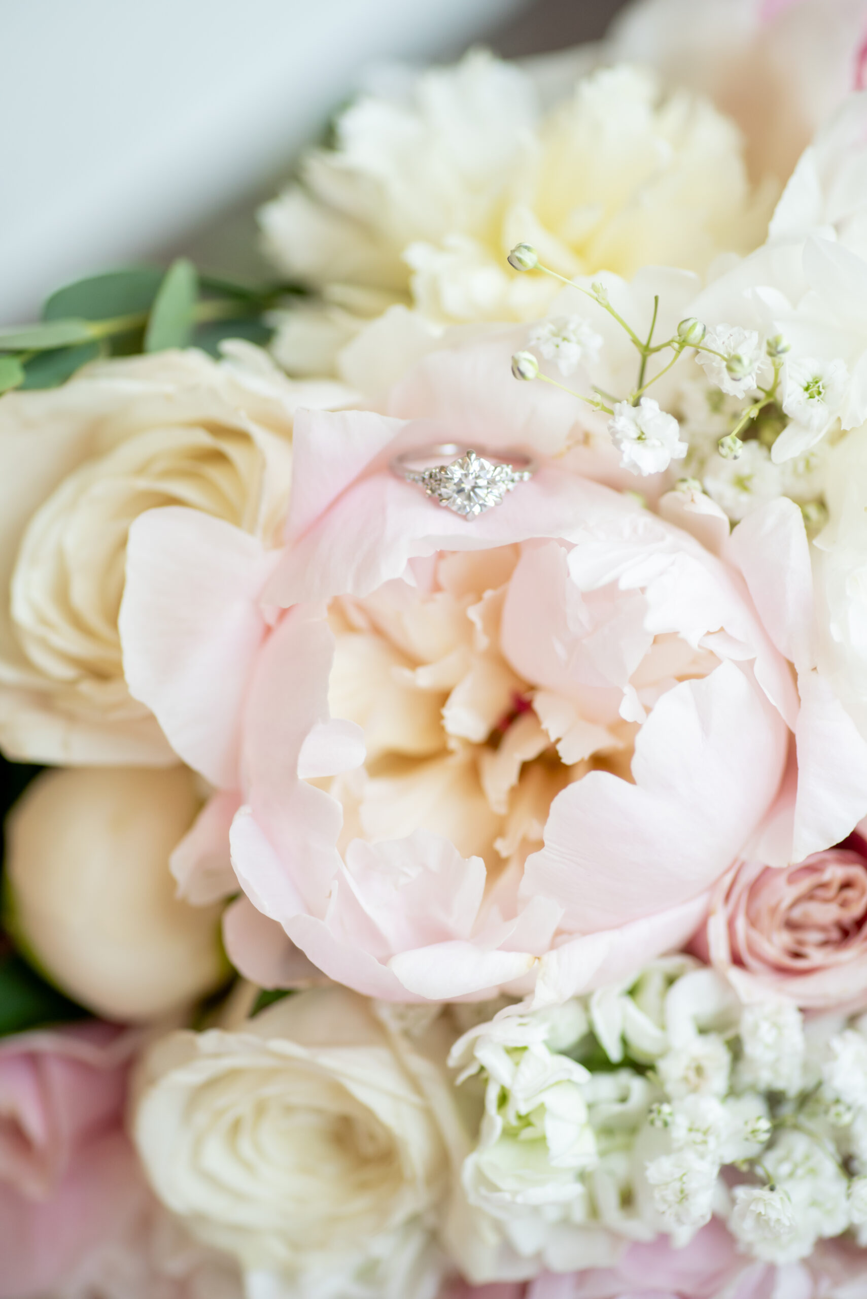 Park Chateau Wedding
