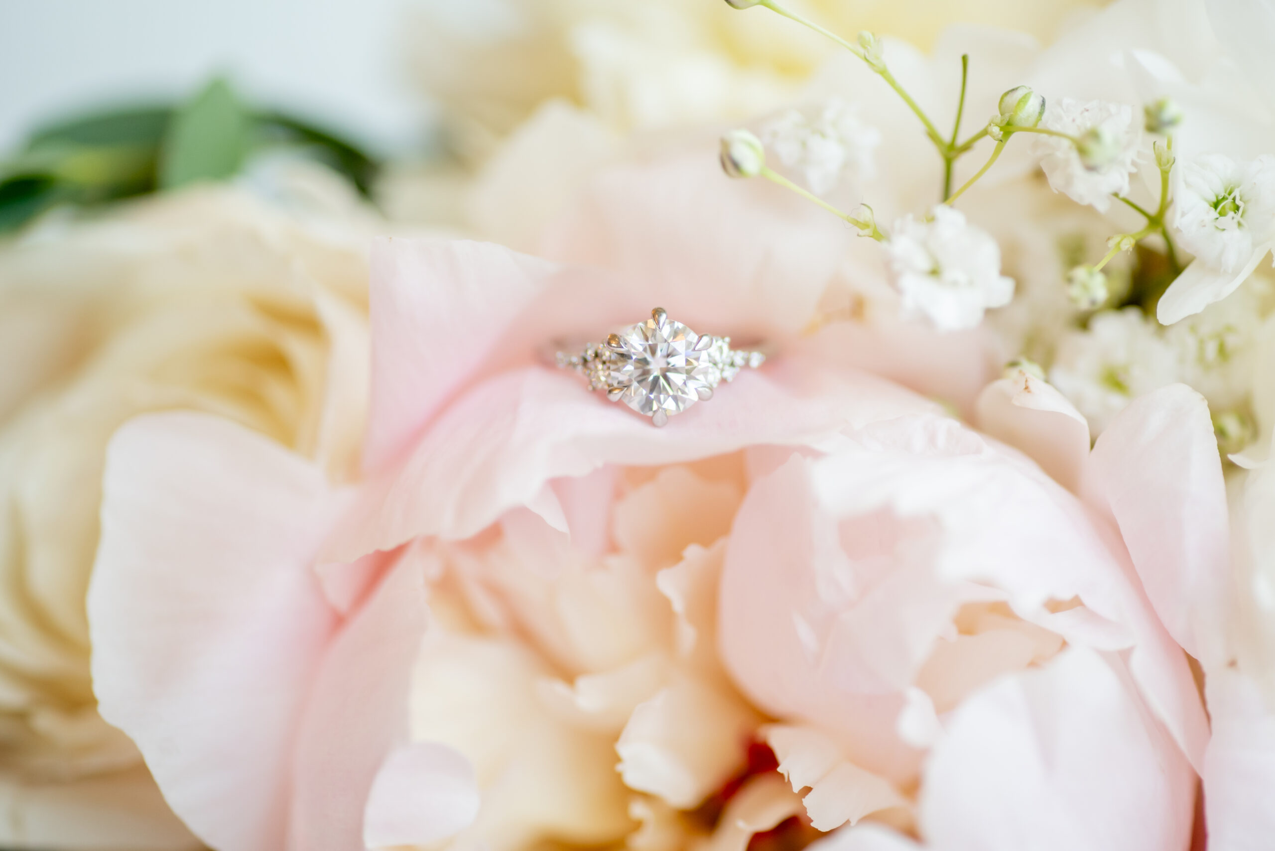Park Chateau Wedding