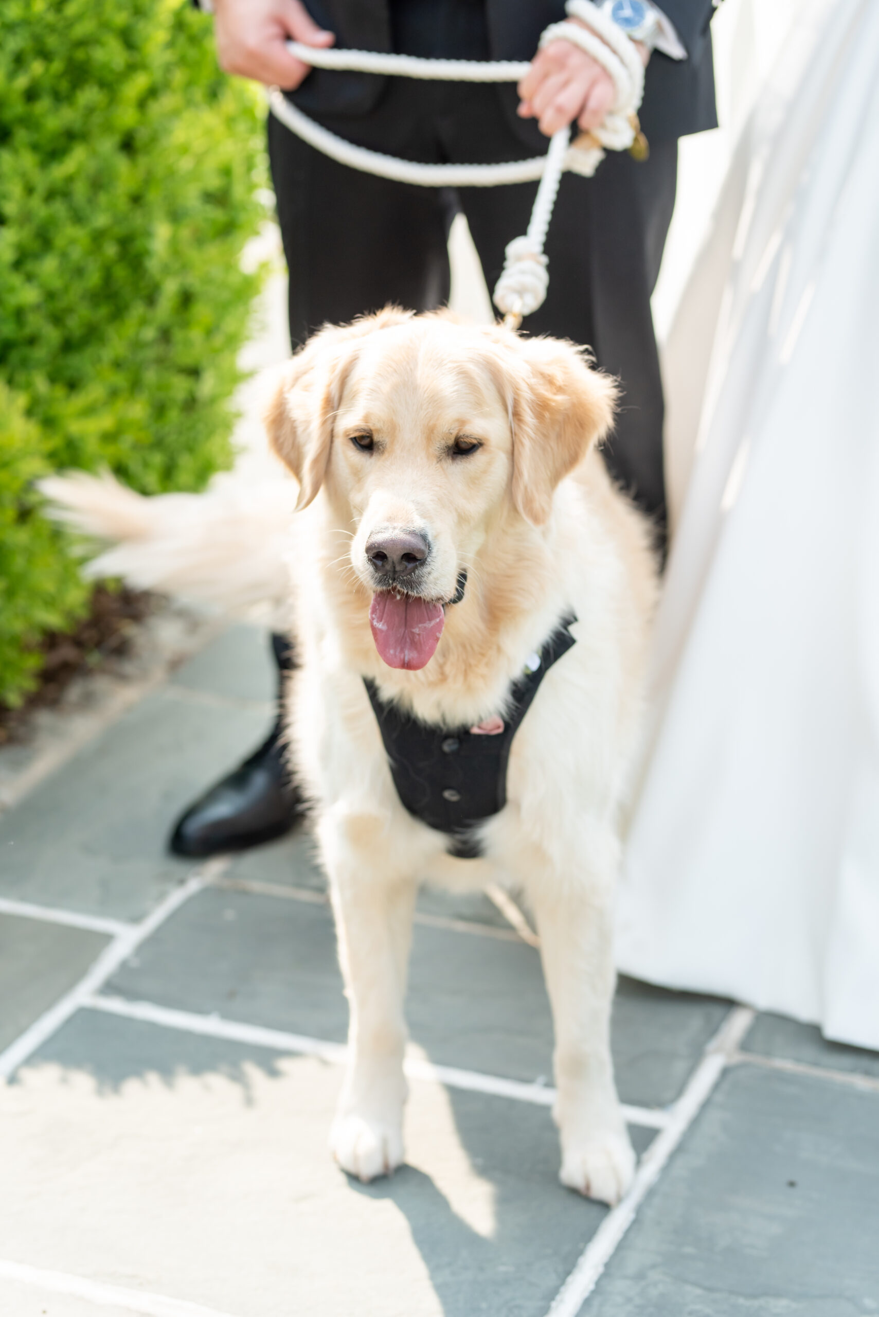 Park Chateau Wedding