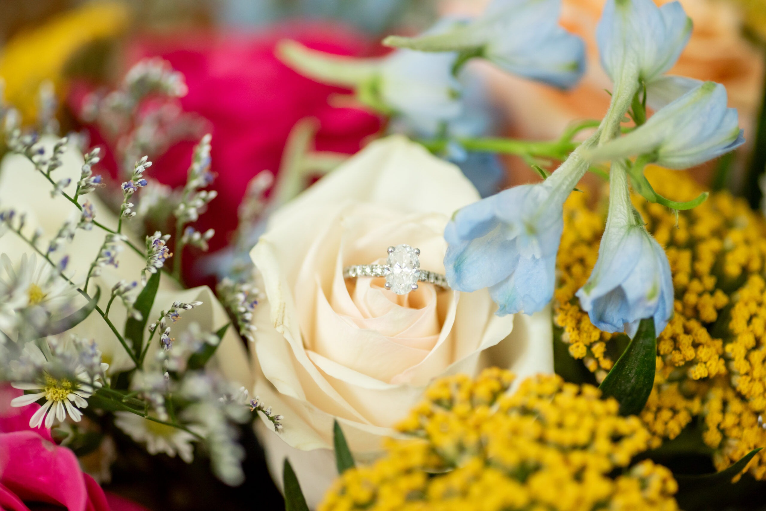 skyview summer wedding