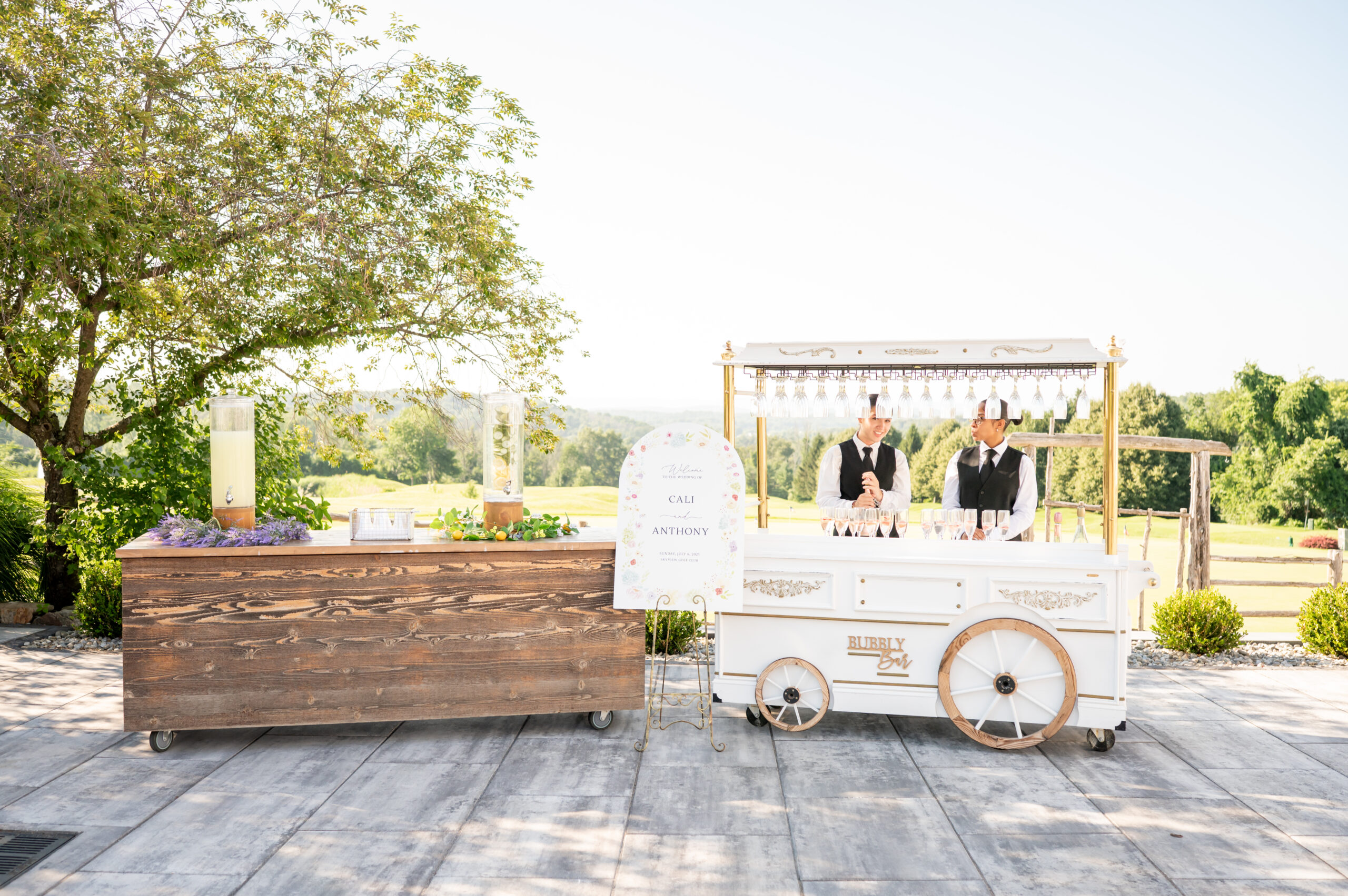 skyview summer wedding