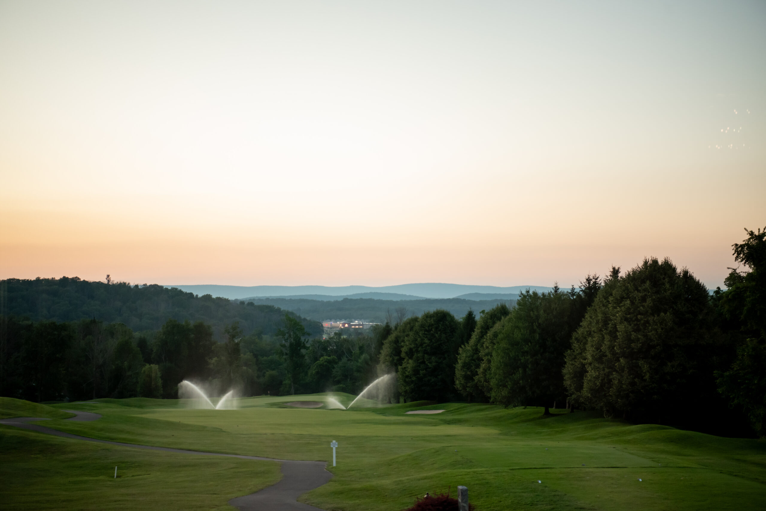 skyview summer wedding