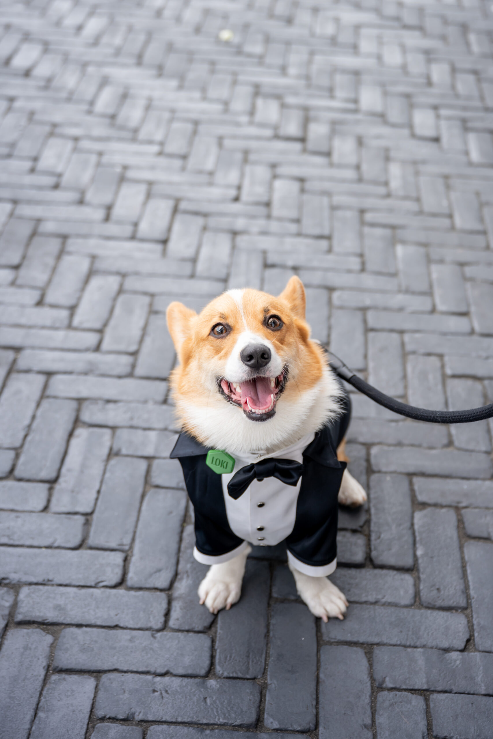 Clarks Landing Yacht Club