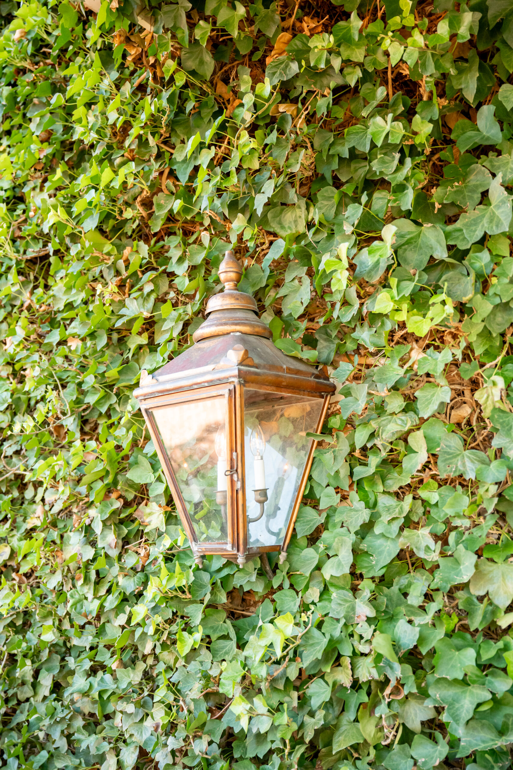 David's Country Inn Wedding