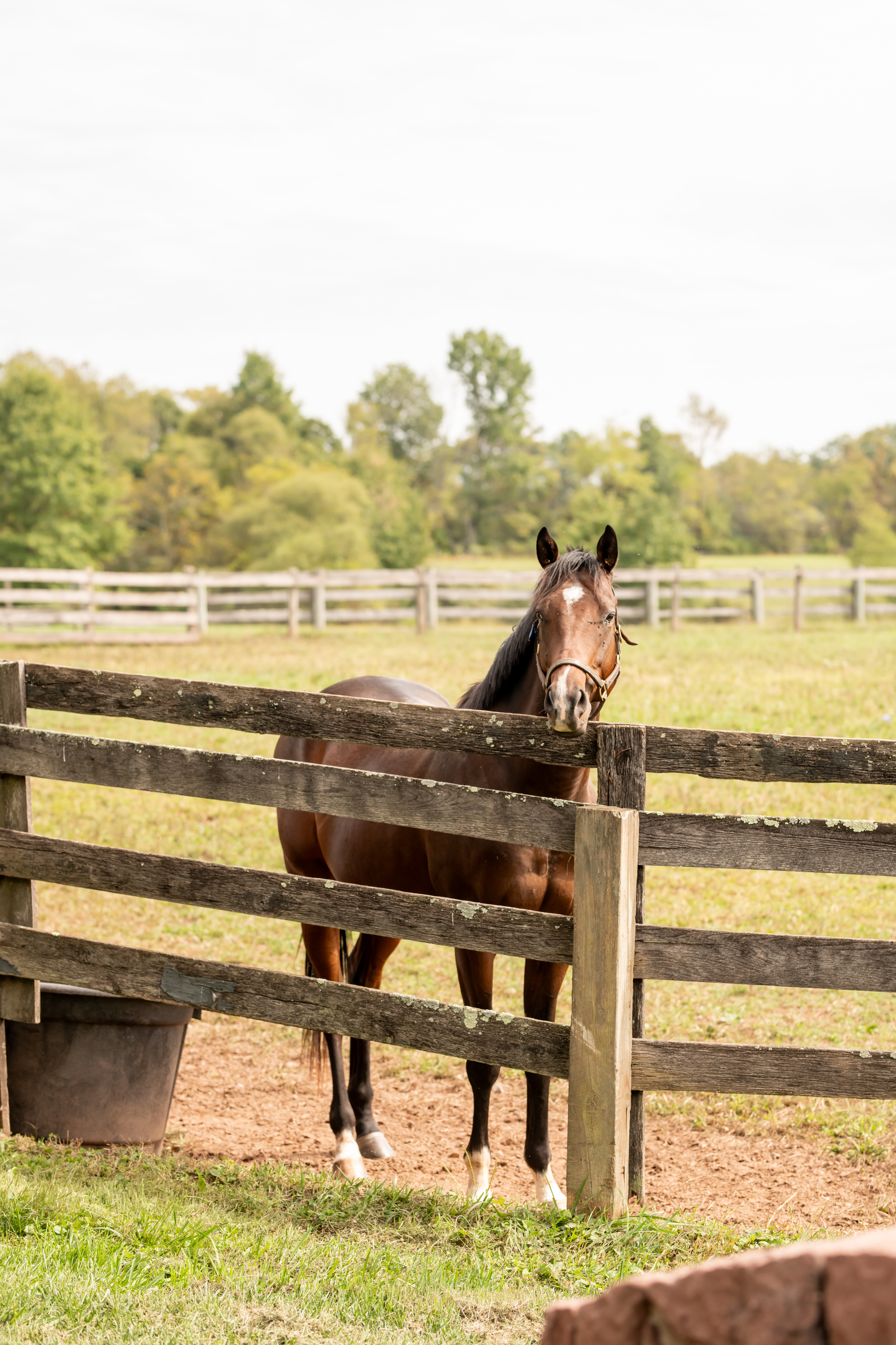 Sterlingbrook Farms Wedding