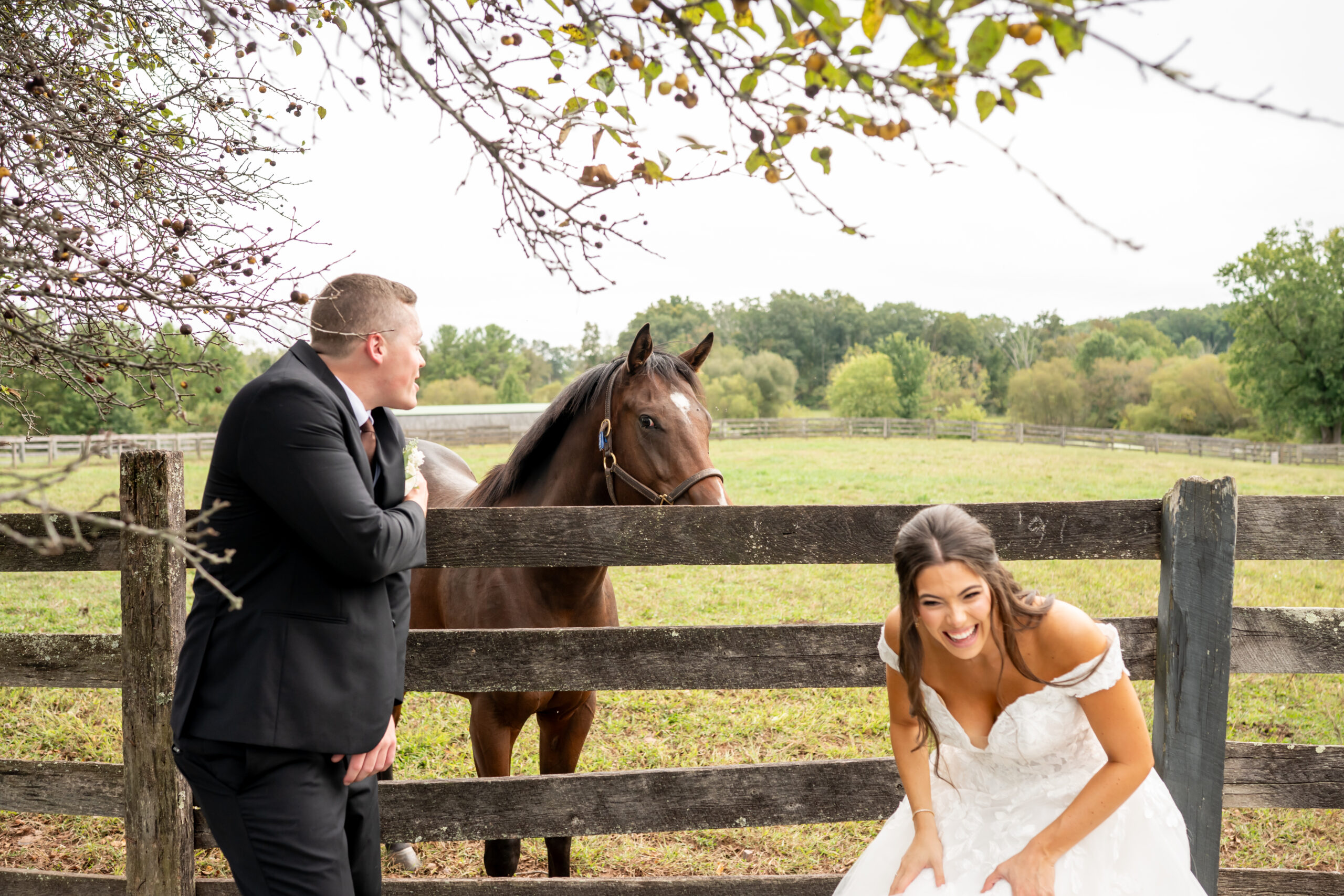 Sterlingbrook Farms Wedding