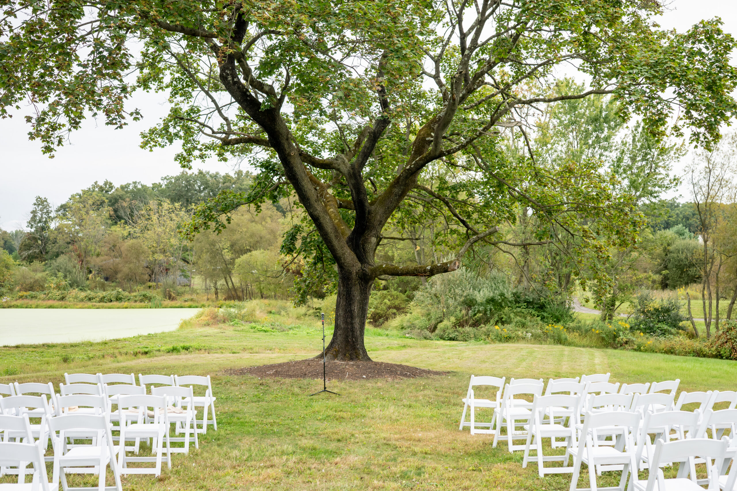 Sterlingbrook Farms Wedding