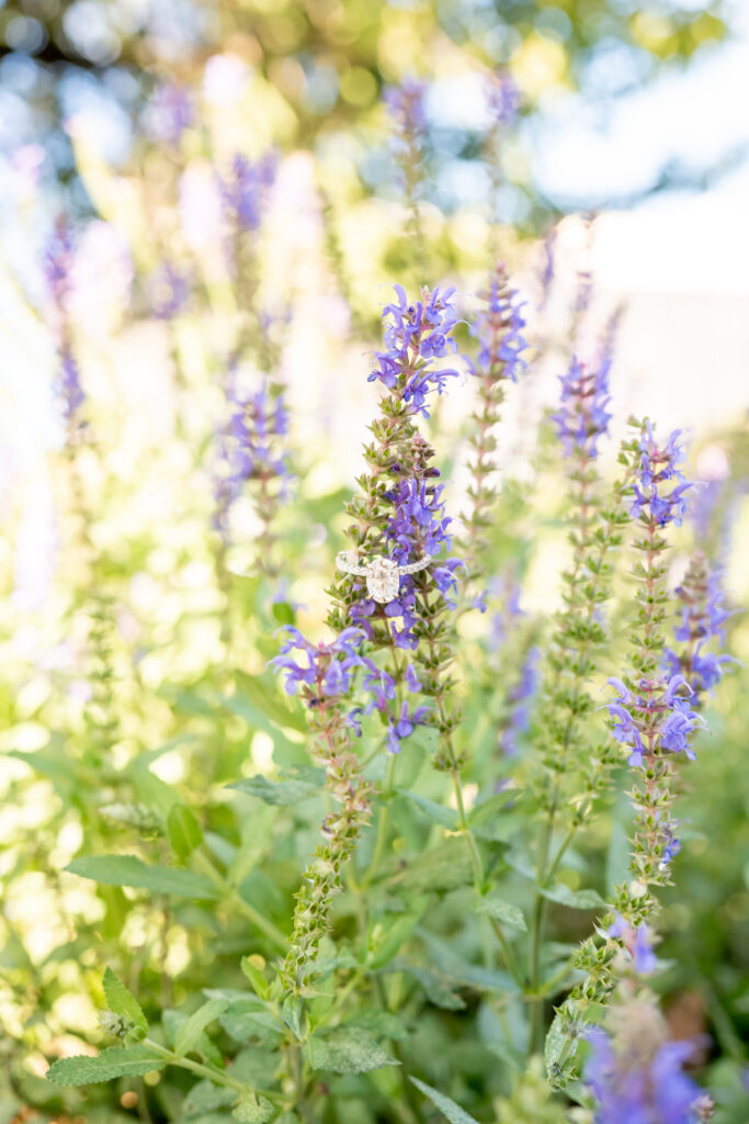 Morristown Green Engagement Session