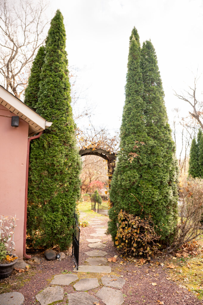 Bello Giorno Estate Wedding