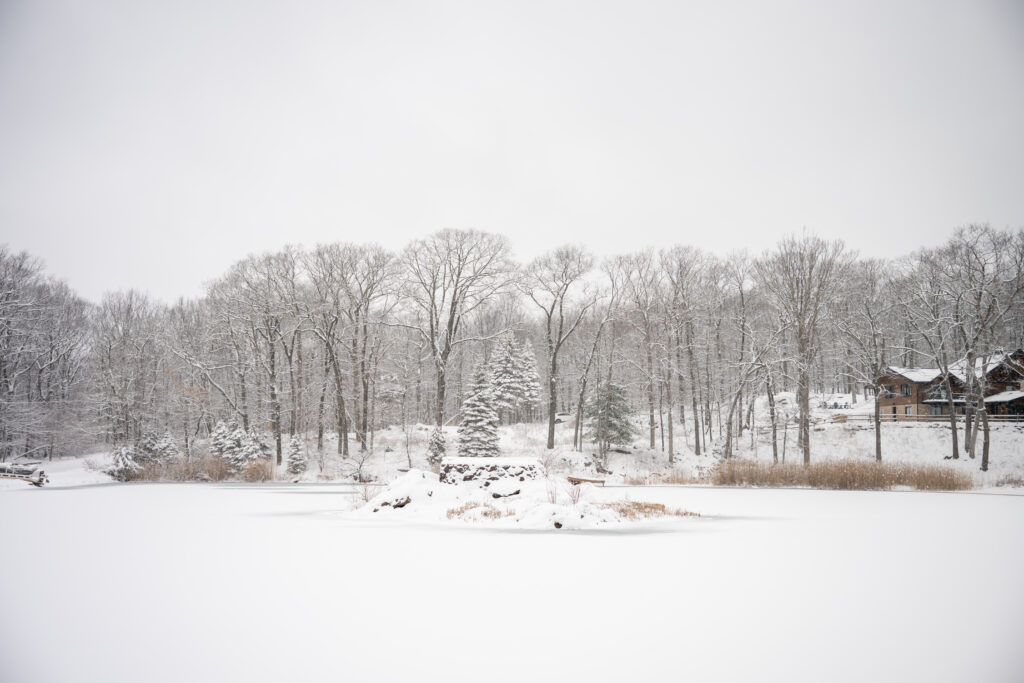 Winter Rock Island Wedding
