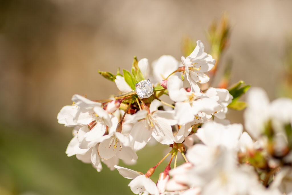 Ringwood manor engagement photos