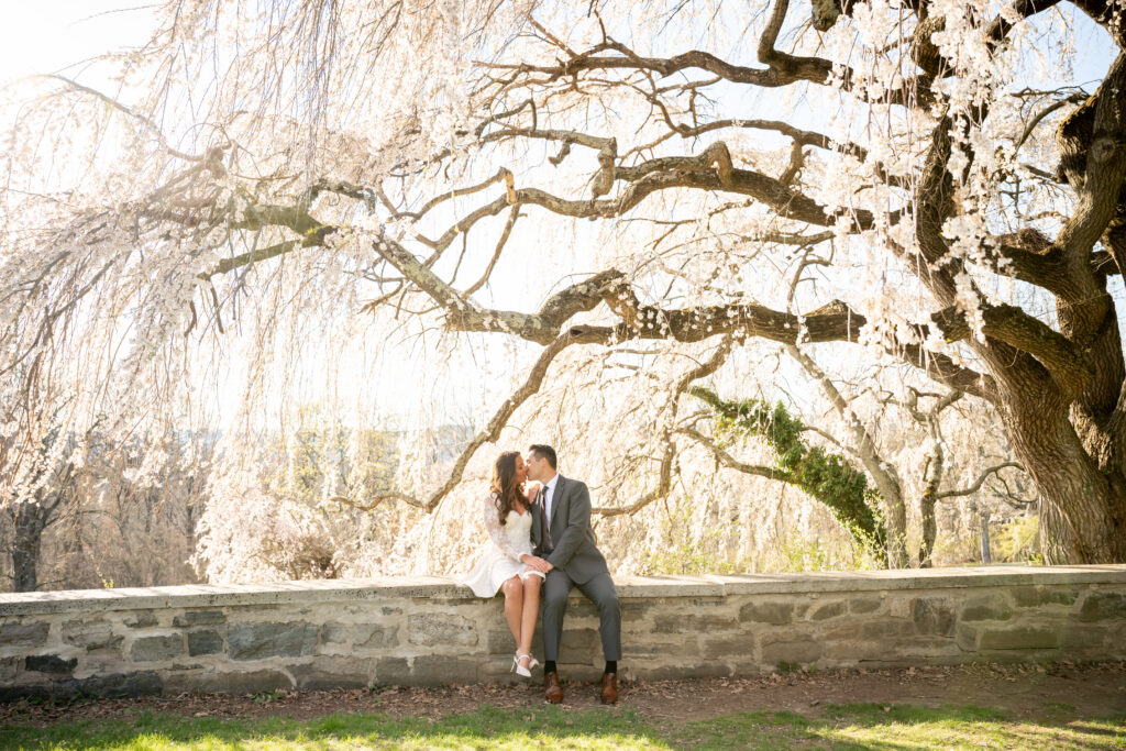 Ringwood manor engagement photos