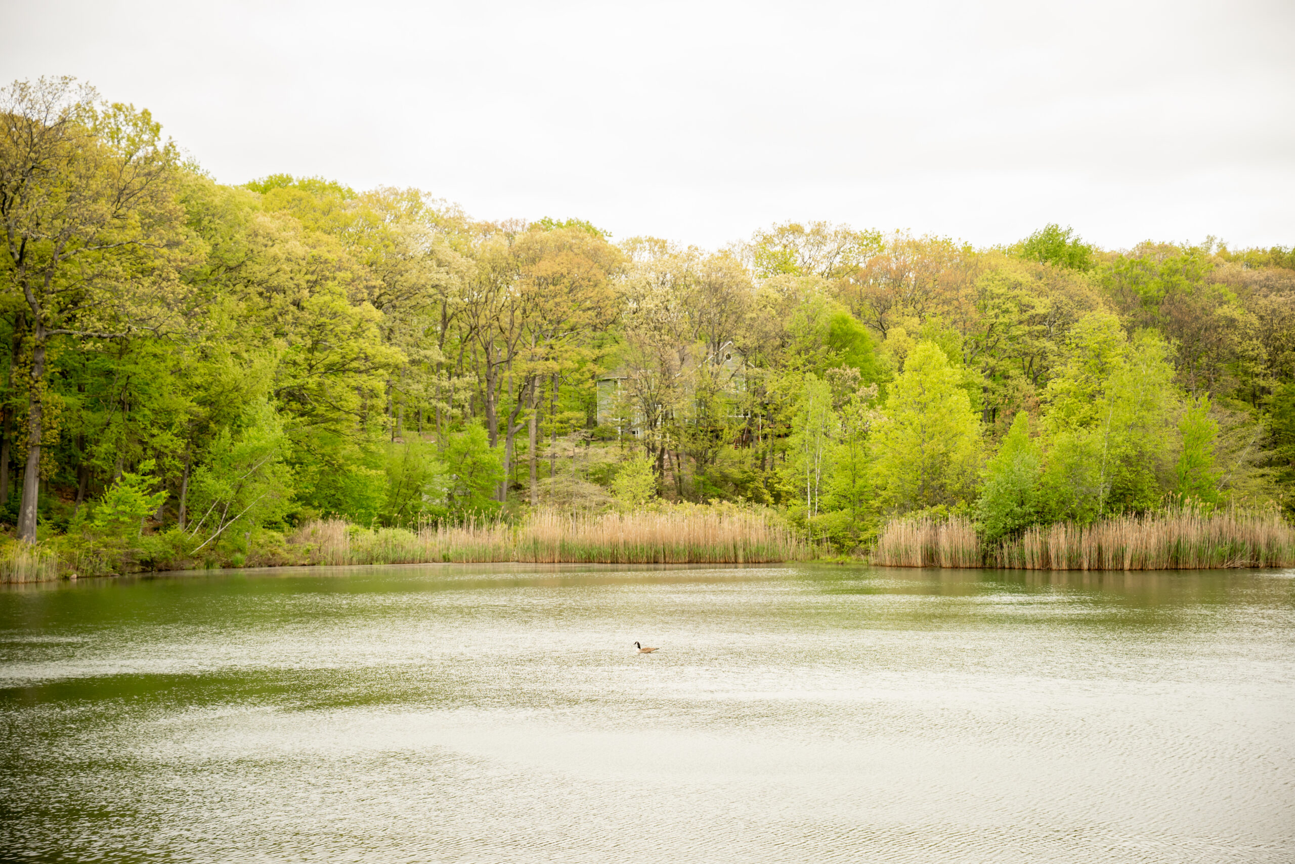 Rock Island Lake Club Wedding